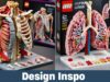 Human Body LEGO Sets: A Creative Way to Explore Anatomy Human Body LEGO Sets: A Creative Way to Explore Anatomy