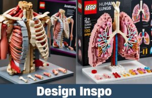 Human Body LEGO Sets: A Creative Way to Explore Anatomy Human Body LEGO Sets: A Creative Way to Explore Anatomy