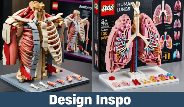 Human Body LEGO Sets: A Creative Way to Explore Anatomy